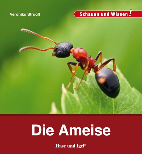 Die Ameise - Veronika Straaß