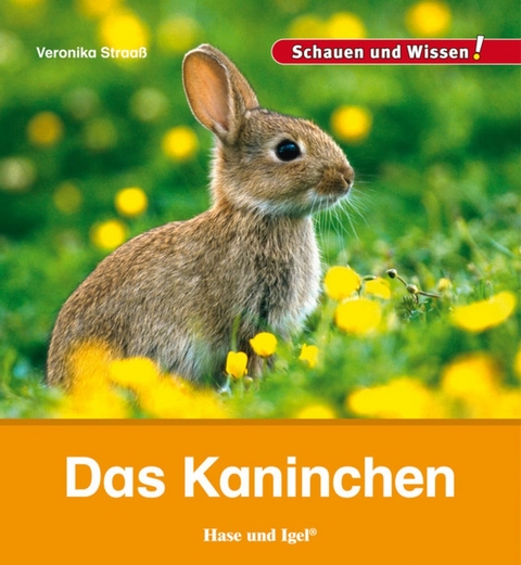 Das Kaninchen - Veronika Straaß