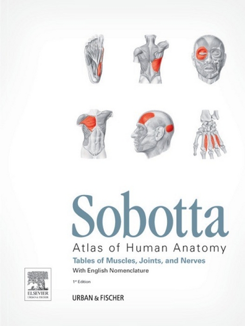 Sobotta Tables of Muscles, Joints and Nerves -  Friedrich Paulsen,  Jens Waschke