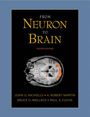 From Neuron to Brain - John G. Nicholls, Paul A. Fuchs, A.Robert Martin, Bruce G. Wallace