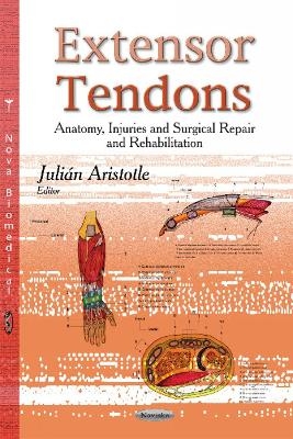 Extensor Tendons - 