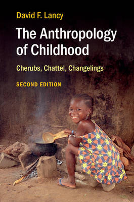 The Anthropology of Childhood - David F. Lancy