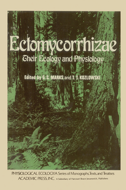 Ectomycorrhizae - 