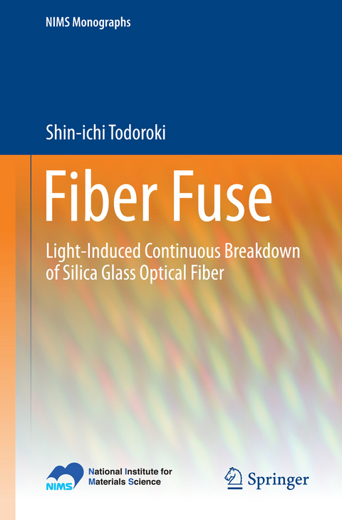 Fiber Fuse - Shin-Ichi Todoroki
