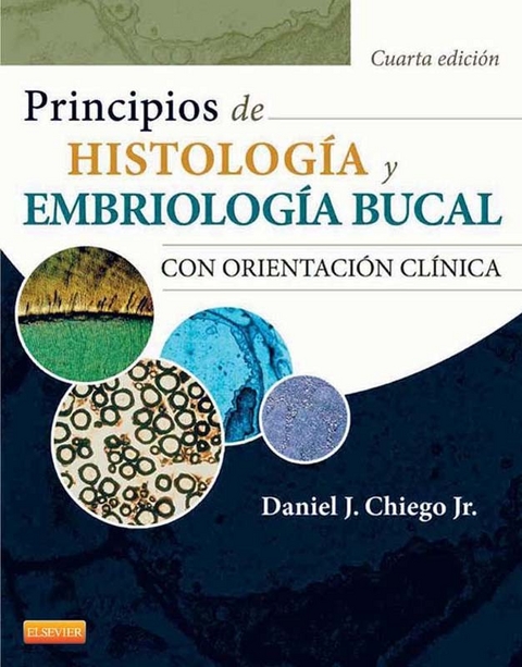 Principios de histología y embriología bucal - 