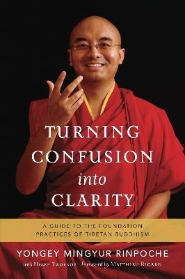 Turning Confusion into Clarity - Yongey Mingyur Rinpoche, Helen Tworkov