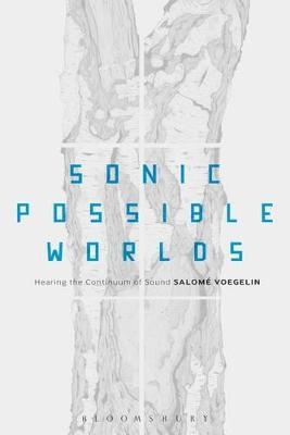 Sonic Possible Worlds - Dr Salomé Voegelin