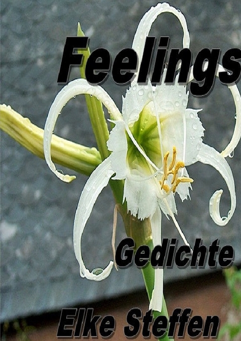 Feelings Gedichte - Elke Steffen