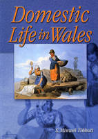 Domestic Life in Wales - S. Minwel Tibbott
