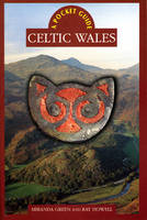 Celtic Wales - Miranda Aldhouse-Green, Ray Howell