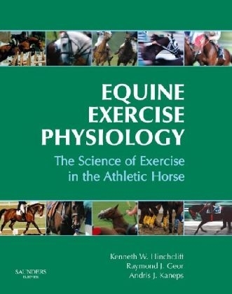 Equine Exercise Physiology - 