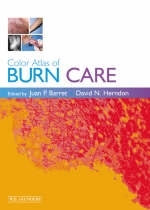 Color Atlas of Burn Care - David N. Herndon, Juan P. Barret