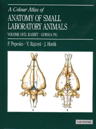 Colour Atlas of Anatomy of Small Laboratory Animals - Peter Popesko, Viera Rajtova, Jindrich Horak