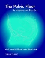 The Pelvic Floor - 