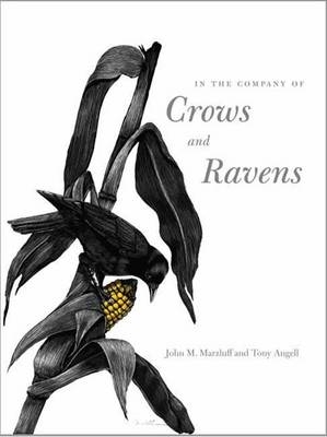 In the Company of Crows and Ravens - John M. Marzluff, Tony Angell