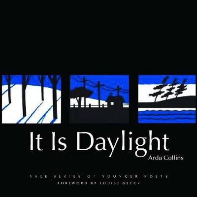 It Is Daylight - Arda Collins