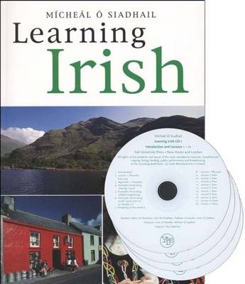 Learning Irish - Michael O'Siadhail