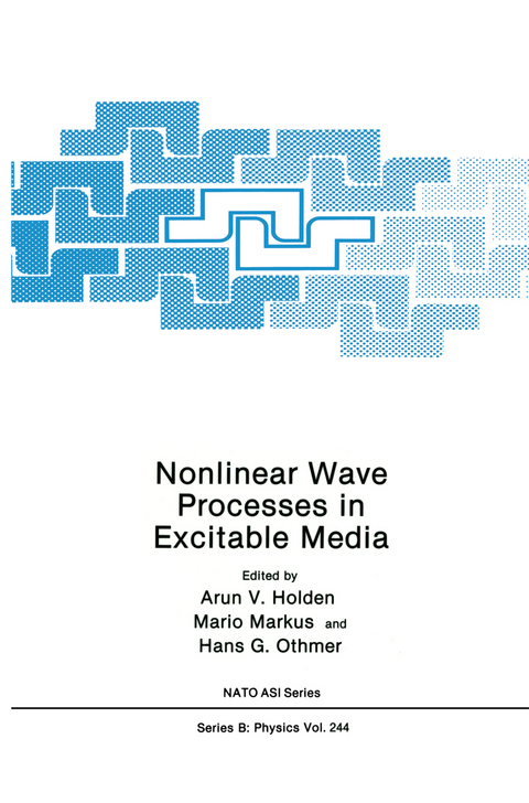 Nonlinear Wave Processes in Excitable Media - 