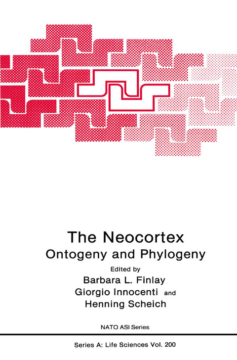 The Neocortex - 