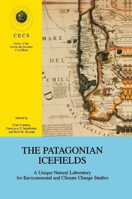 The Patagonian Ice Fields - 