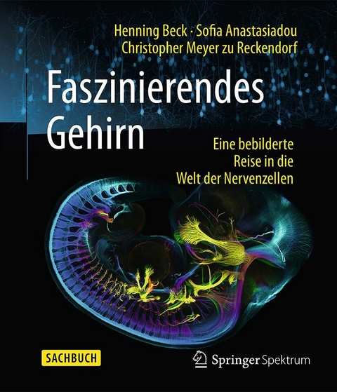 Faszinierendes Gehirn - Henning Beck, Sofia Anastasiadou, Christopher Meyer zu Reckendorf
