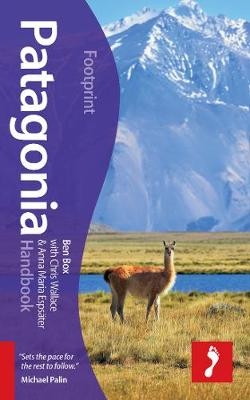Patagonia Footprint Handbook - Ben Box