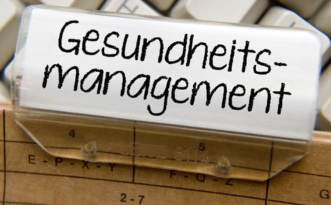 Musterhandbuch Gesundheitsmanagement nach DIN SPEC 91020 und DIN EN ISO 9001:2008 - Klaus Seiler