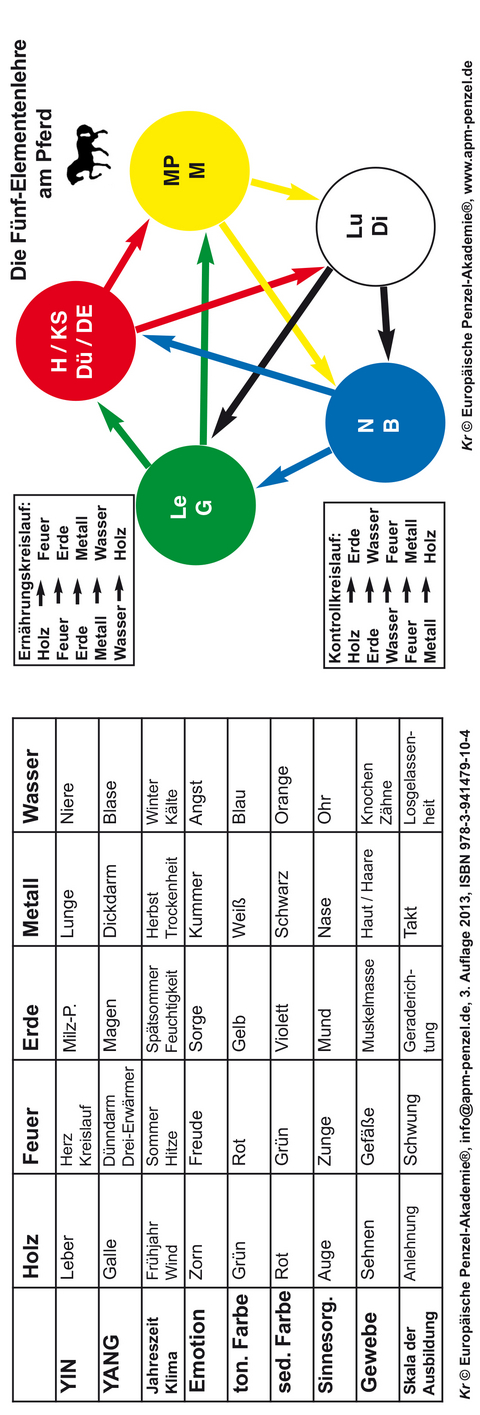 Die Fünf-Elementenlehre am Pferd - Ingrid Uta Krause