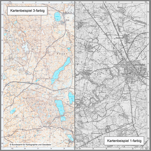 Murowana-Goslin