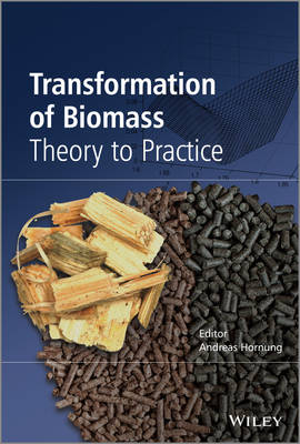 Transformation of Biomass - A Hornung