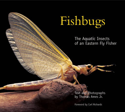 Fishbugs - Thomas Ames  Jr.