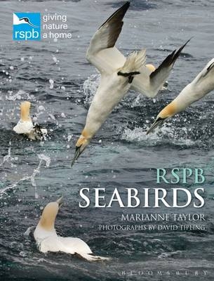 RSPB Seabirds - Marianne Taylor