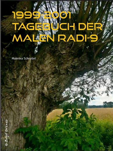 1999-2001 Tagebuch der Malen Radi-9 - Malenka Schnebel