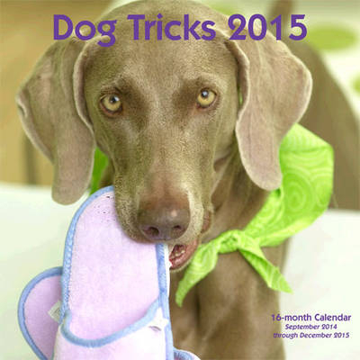 Dog Tricks 2015 - Kyra Sundance