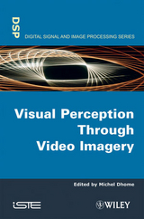 Visual Perception Through Video Imagery - 