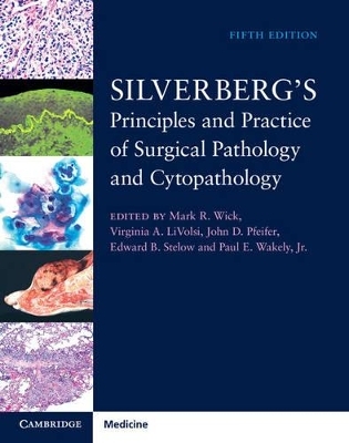 Silverberg's Principles and Practice of Surgical Pathology and Cytopathology 4 Volume Set with Online Access - 