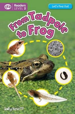 Let's Find Out: Tadpole to Frog - Sally Hewitt