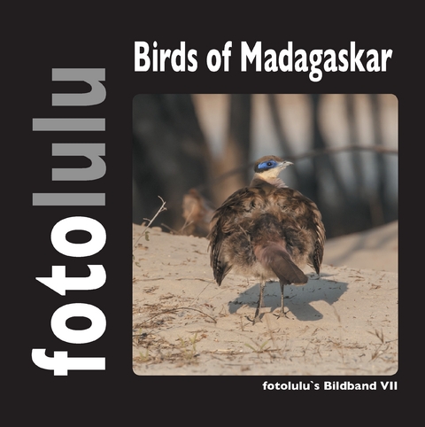 Birds of Madagaskar -  fotolulu