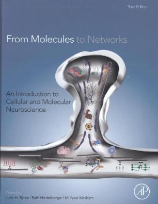 From Molecules to Networks - 