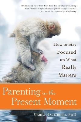 Parenting in the Present Moment - Carla Naumburg