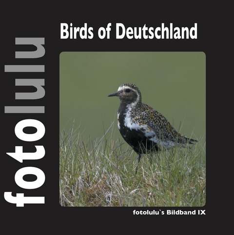 Birds of Deutschland -  fotolulu