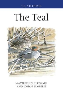 The Teal - Matthieu Guillemain, Johan Elmberg