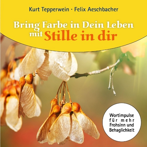 Bring Farbe in Dein Leben mit Stille in dir - Kurt Tepperwein, Felix Aeschbacher