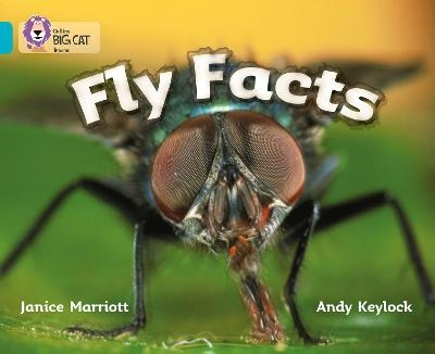 Fly Facts - Janice Marriott