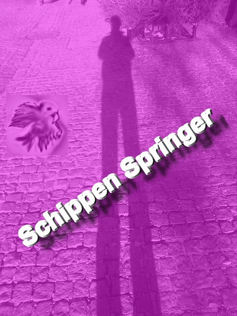 Schippen Springer -  Ludwig Feyel