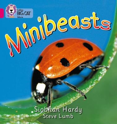 Minibeasts - Siobhan Hardy