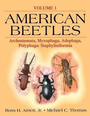 American Beetles, Volume I - 
