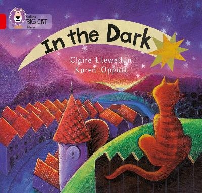 In the Dark - Claire Llewellyn