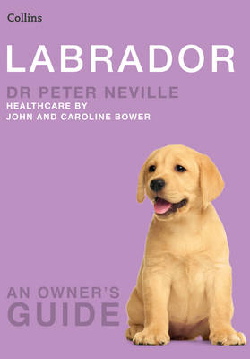 Labrador - Dr. Peter Neville