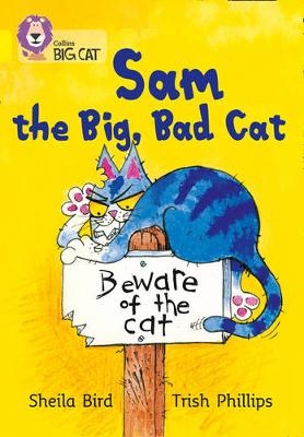 Sam and the Big Bad Cat - Sheila Bird